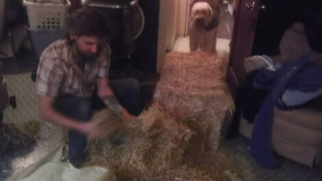 Natural Alternatives to Conventional Mattresses Image